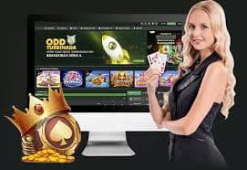 73bet11